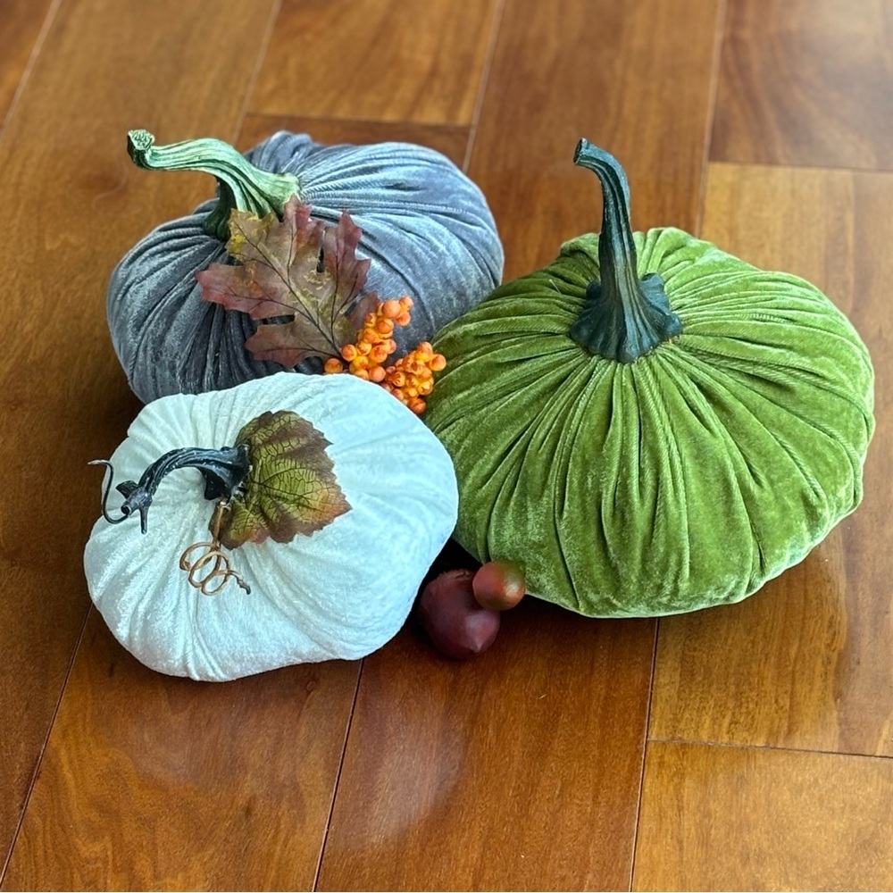 Cute Velvet Pumpkin Decor Set - Green, Gray, White Fall Harvest Thanksgiving - Picture 1 of 12